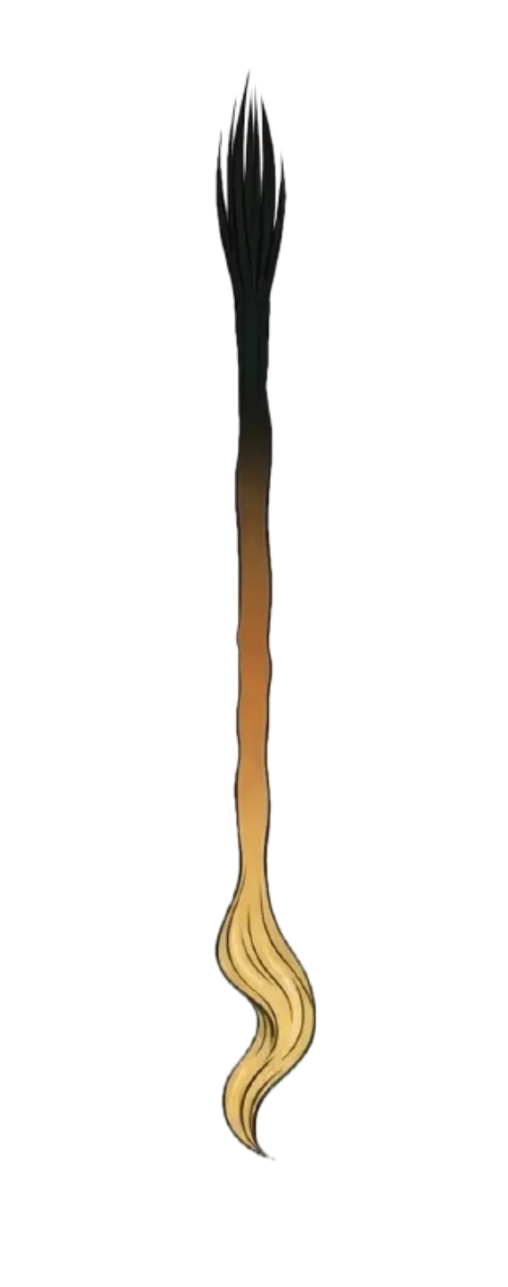 Extension