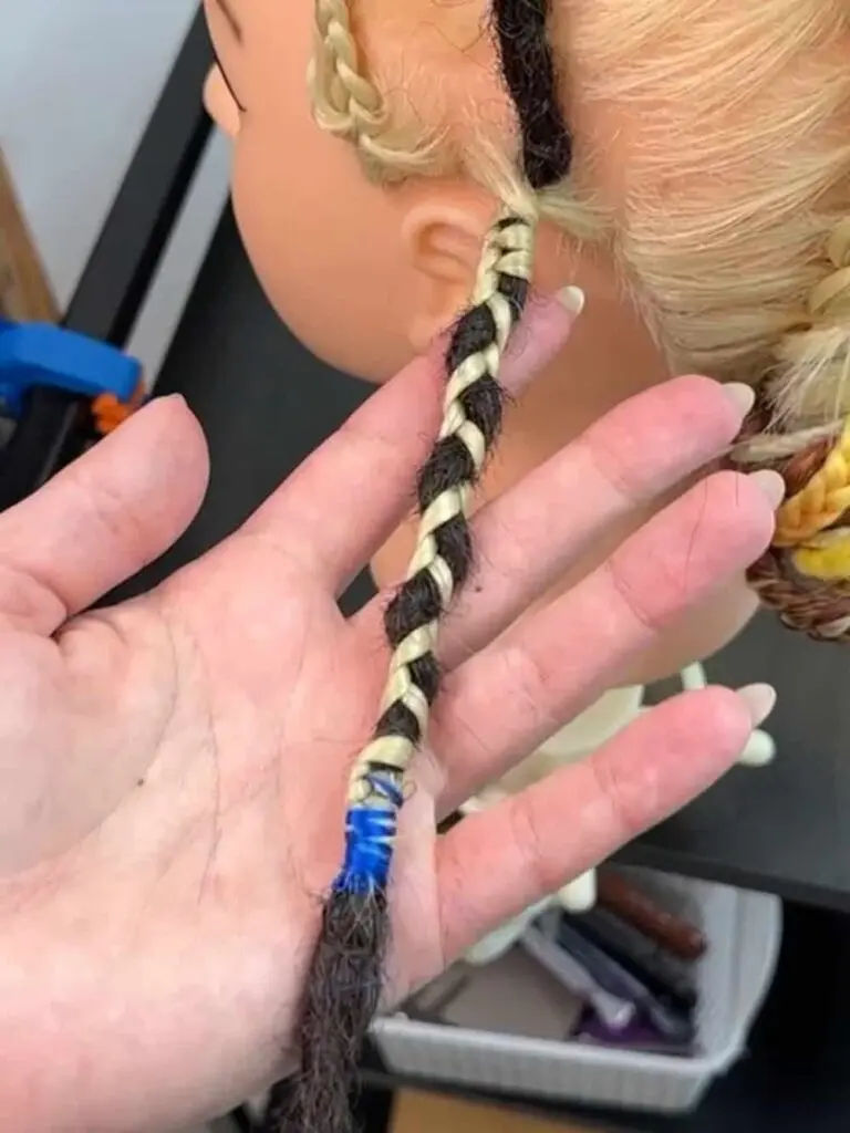 Lesson 6 — DE Dreadlocks: French / Scandinavian Method
